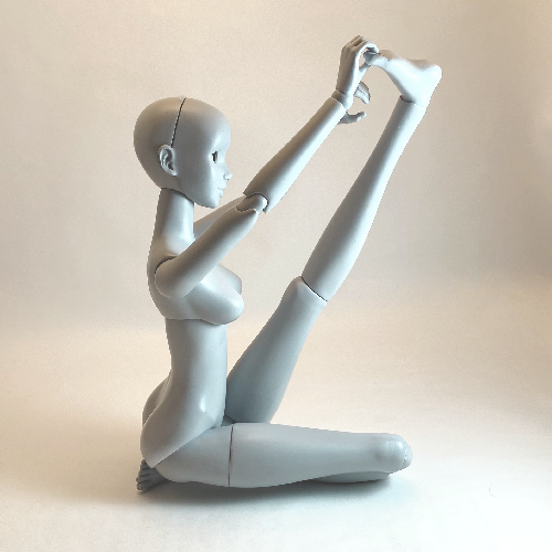heron pose