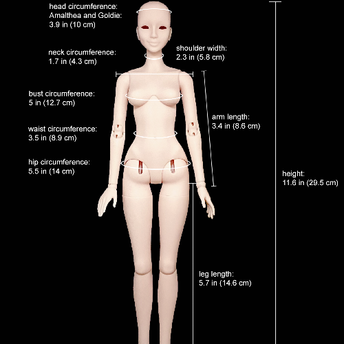 measurements